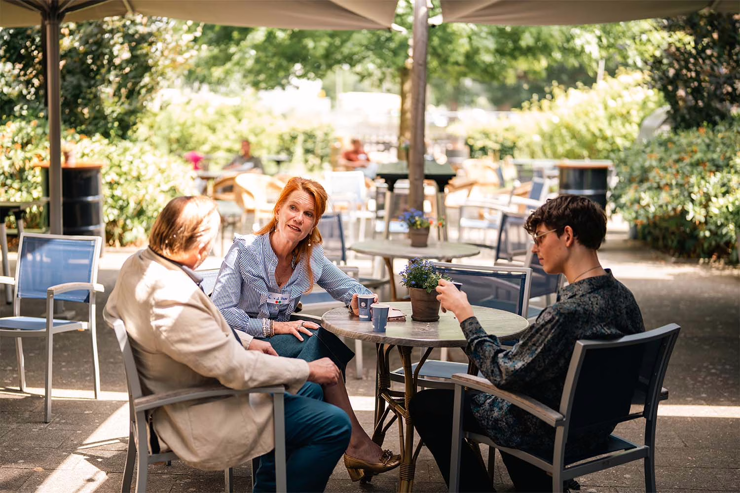 Akoesticum binnentuin